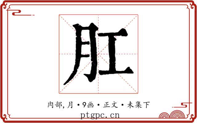 肛