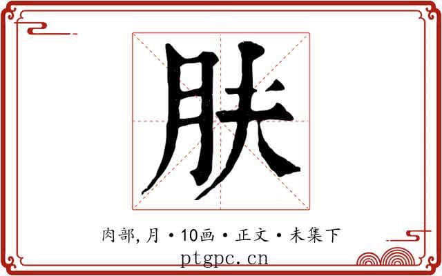 肤