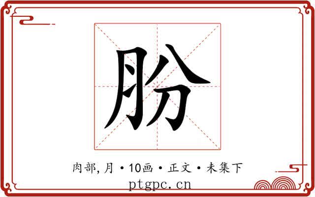 肦
