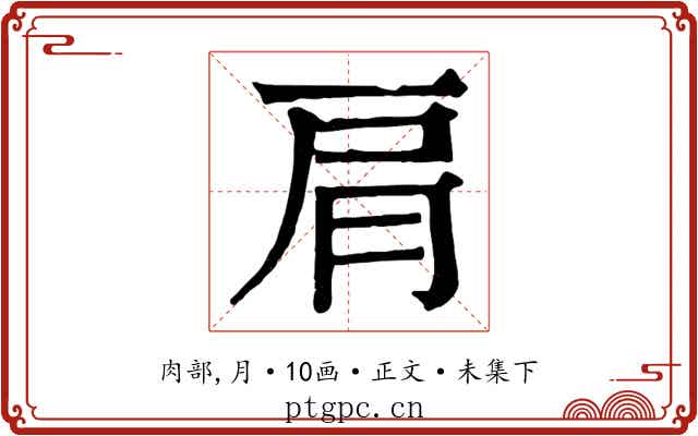 肩