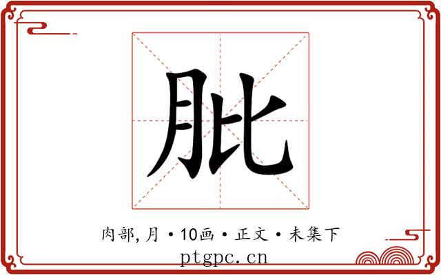 肶