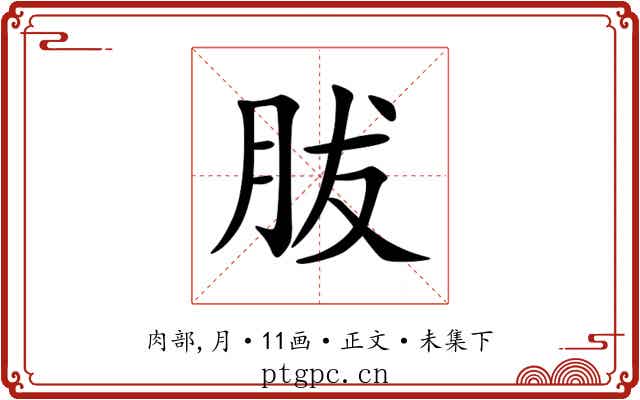 胈