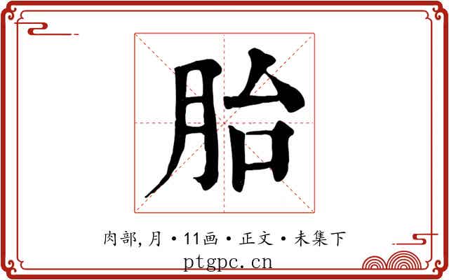 胎