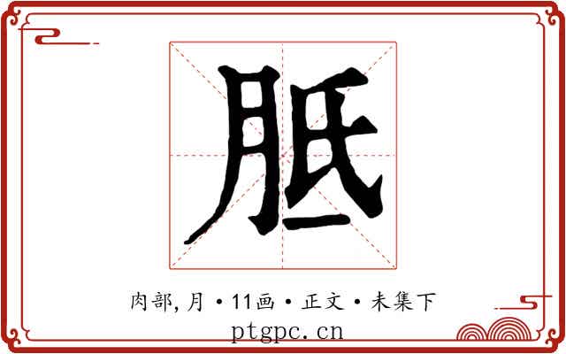 胝