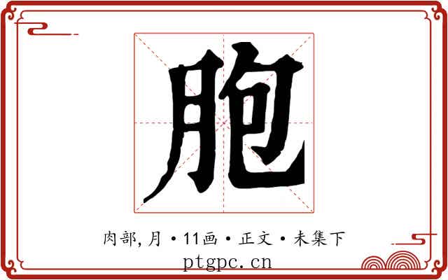 胞
