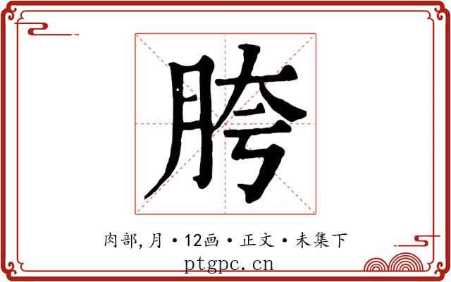 胯
