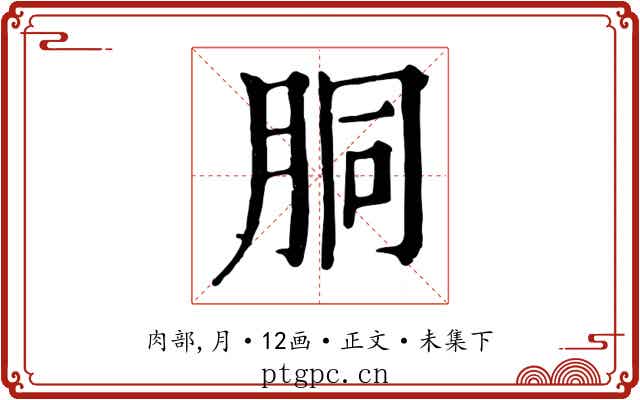 胴