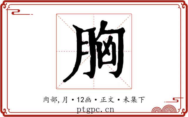 胸