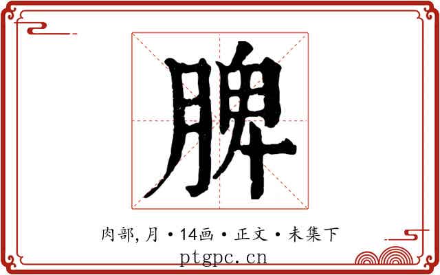 脾