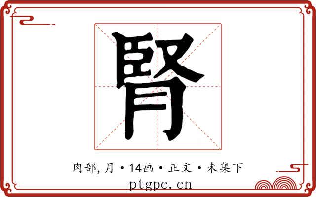 腎