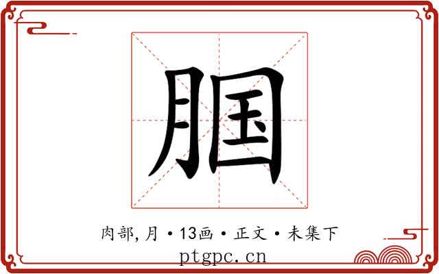 腘