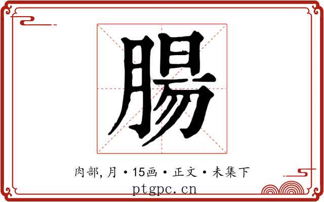 腸
