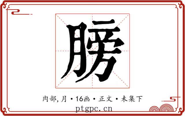 膀