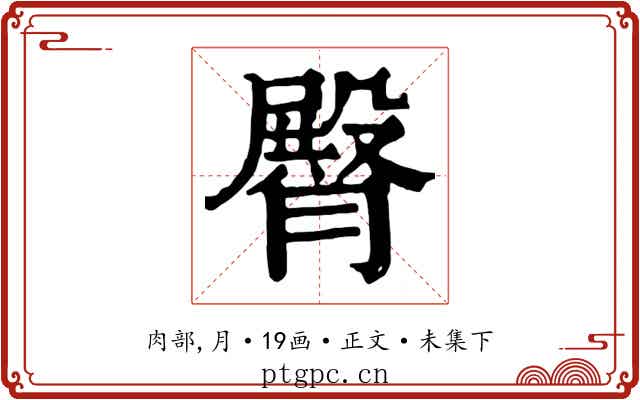 臀