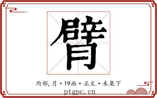 臂