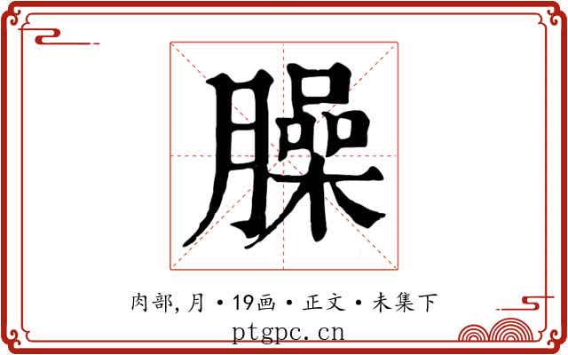臊
