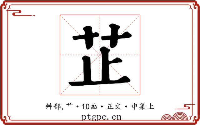 芷
