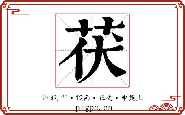茯