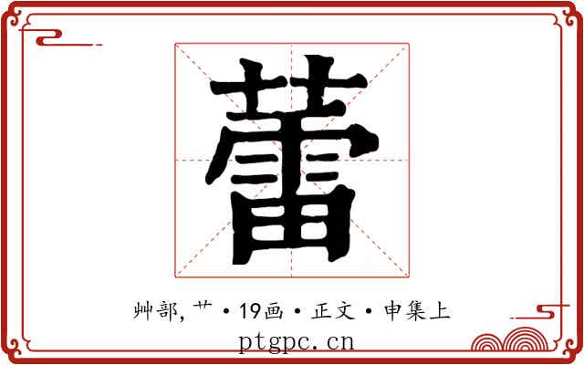 蕾