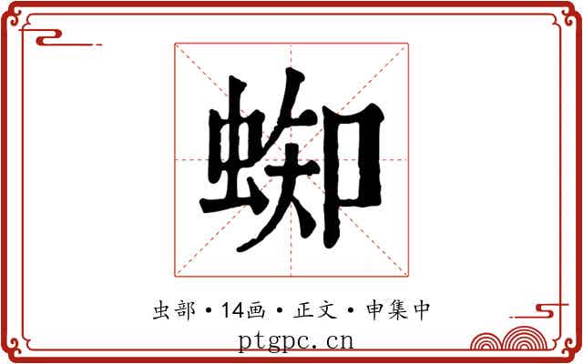 蜘