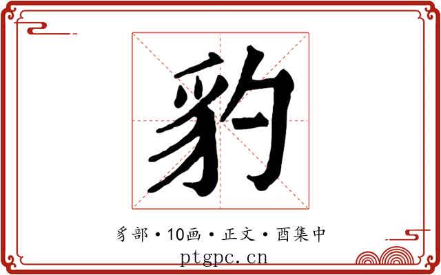 豹