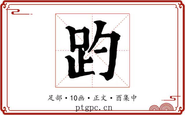 趵