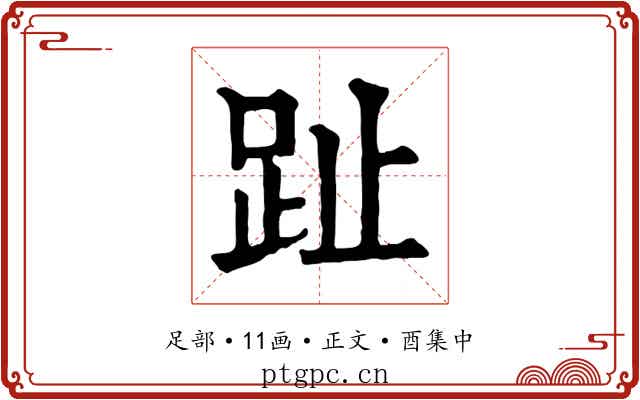 趾