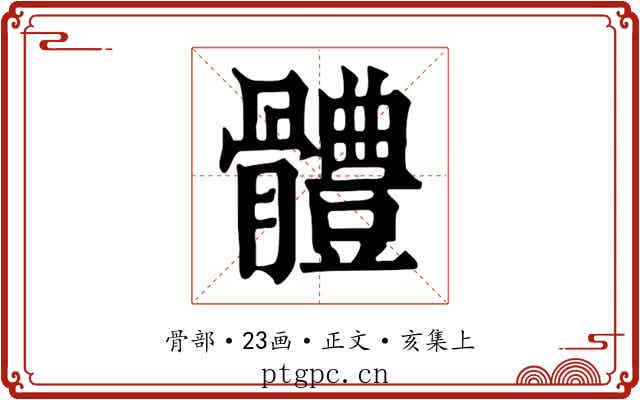 體