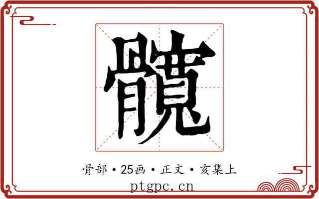 髖
