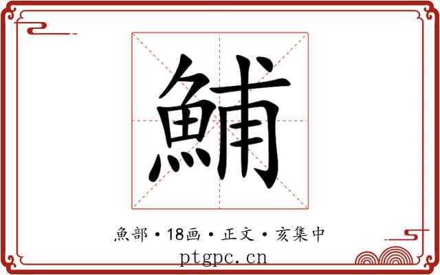 鯆