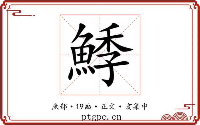 鯚