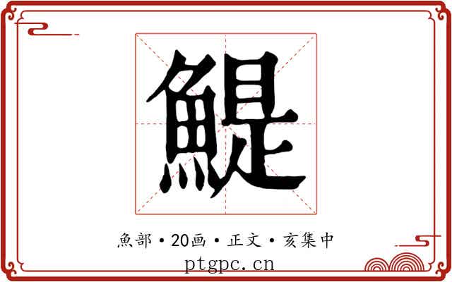 鯷