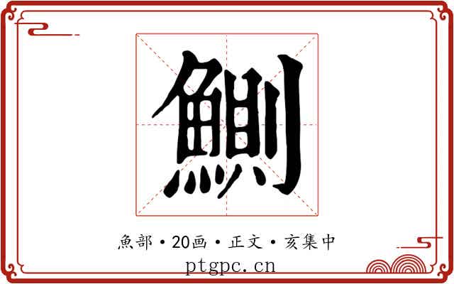 鰂