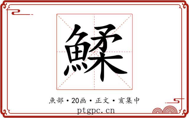 鰇