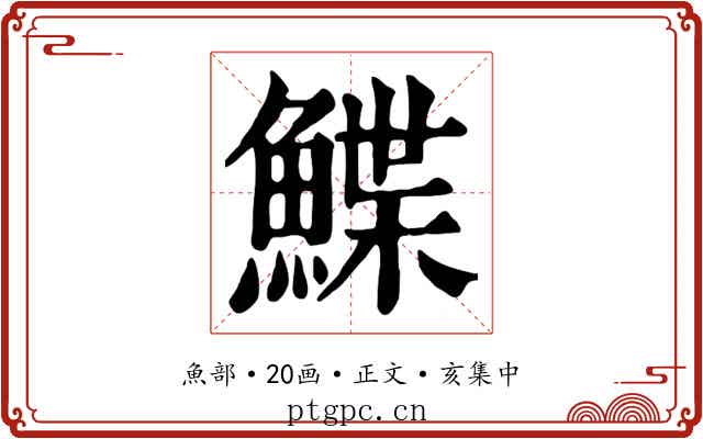 鰈