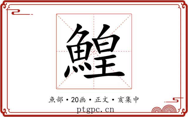 鰉