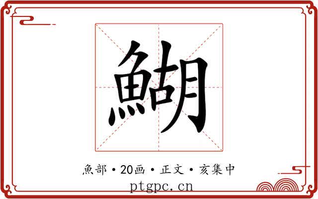 鰗