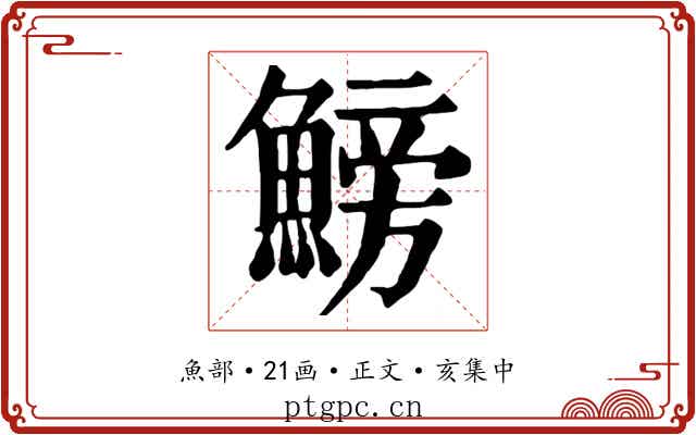 鰟