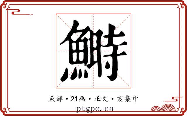 鰣