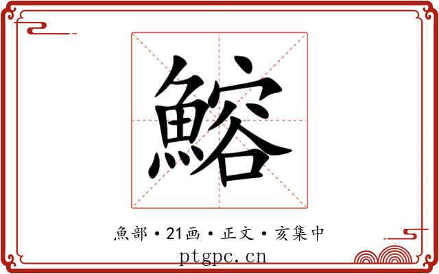 鰫