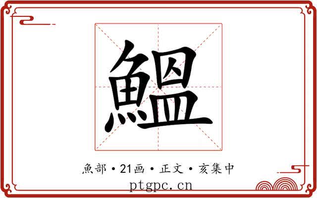 鰮