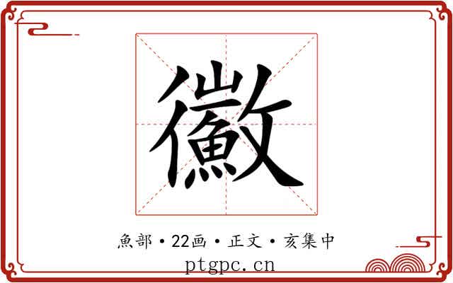 鰴