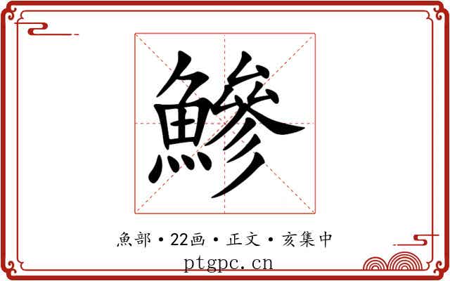 鰺