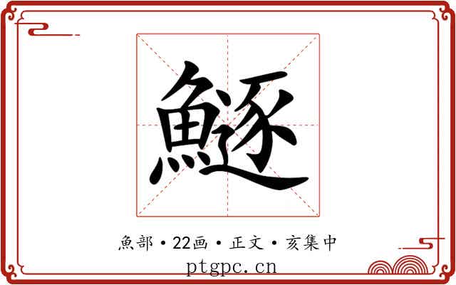 鱁