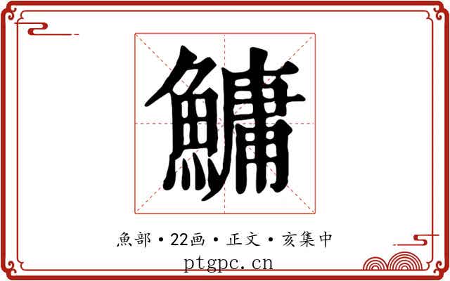 鱅