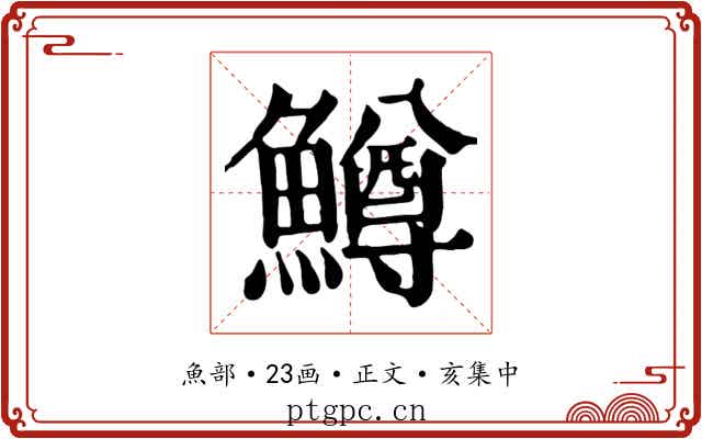 鱒