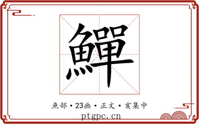 鱓