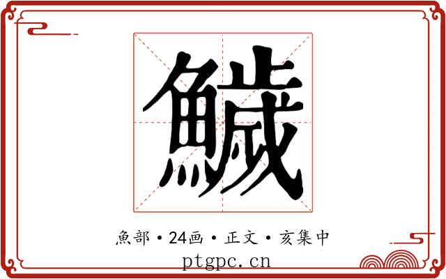 鱥