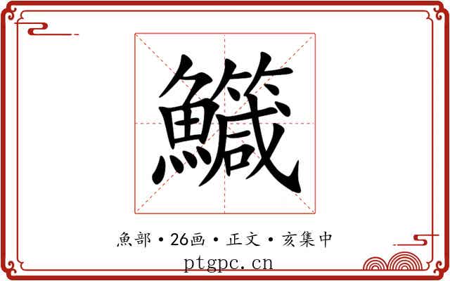 鱵