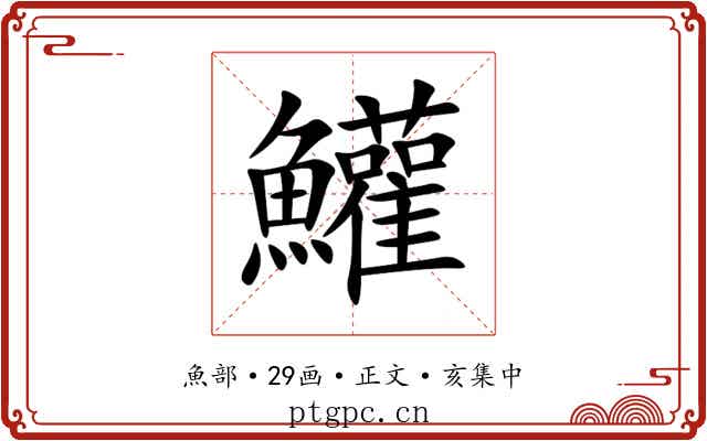 鱹